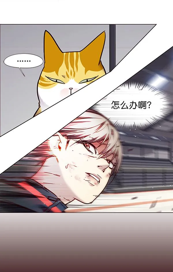 第87话 第61页