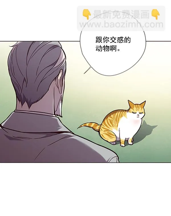 第92话 第45页