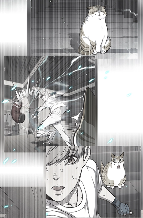 第93话 第47页