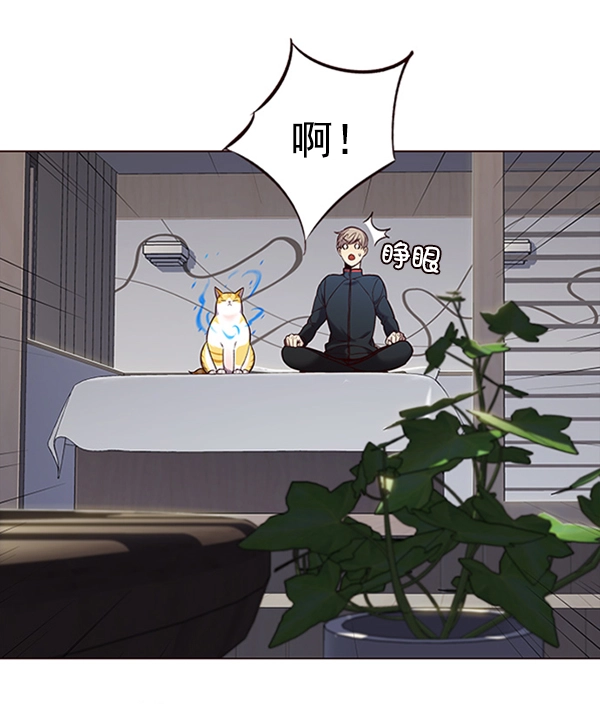 第95话 第51页