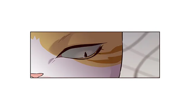 第95话 第54页
