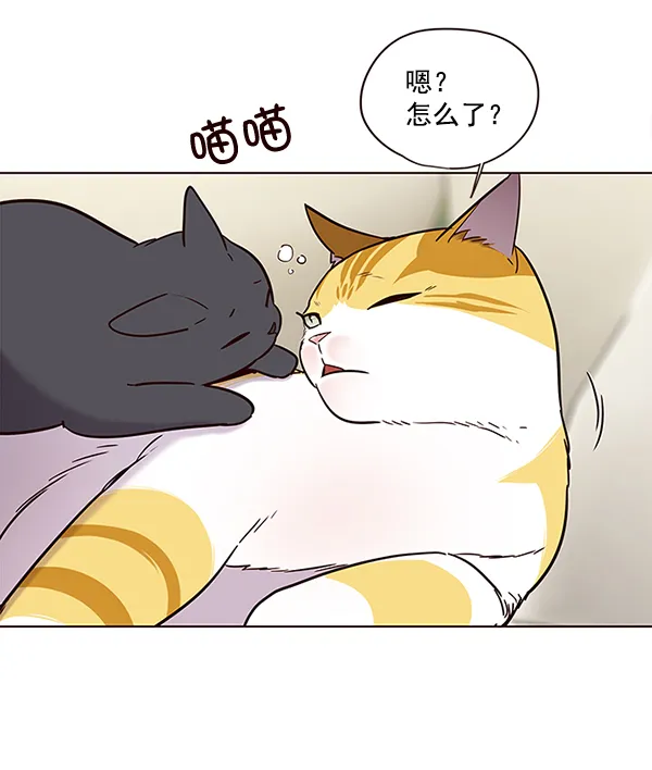 第101话 第4页