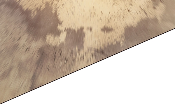 第111话 第99页