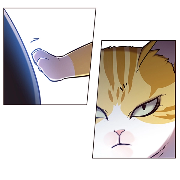 第116话 第54页