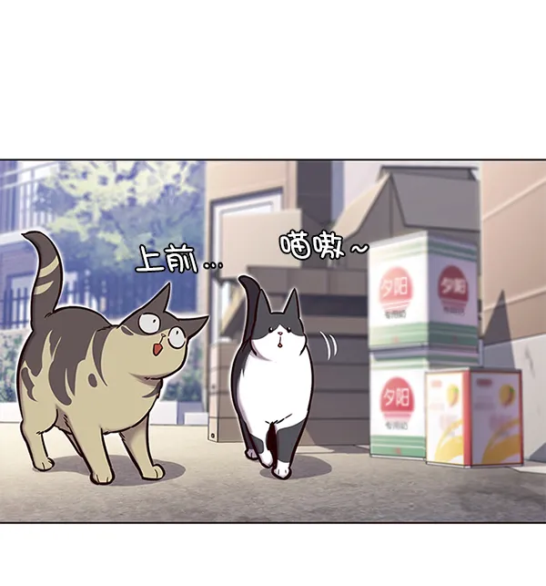 第117话 第12页