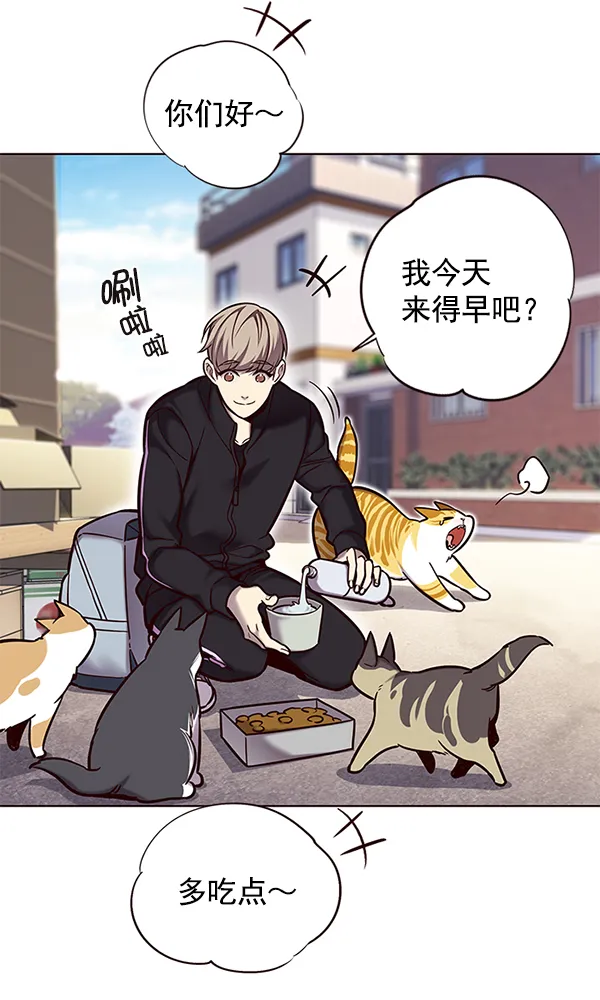 第117话 第13页