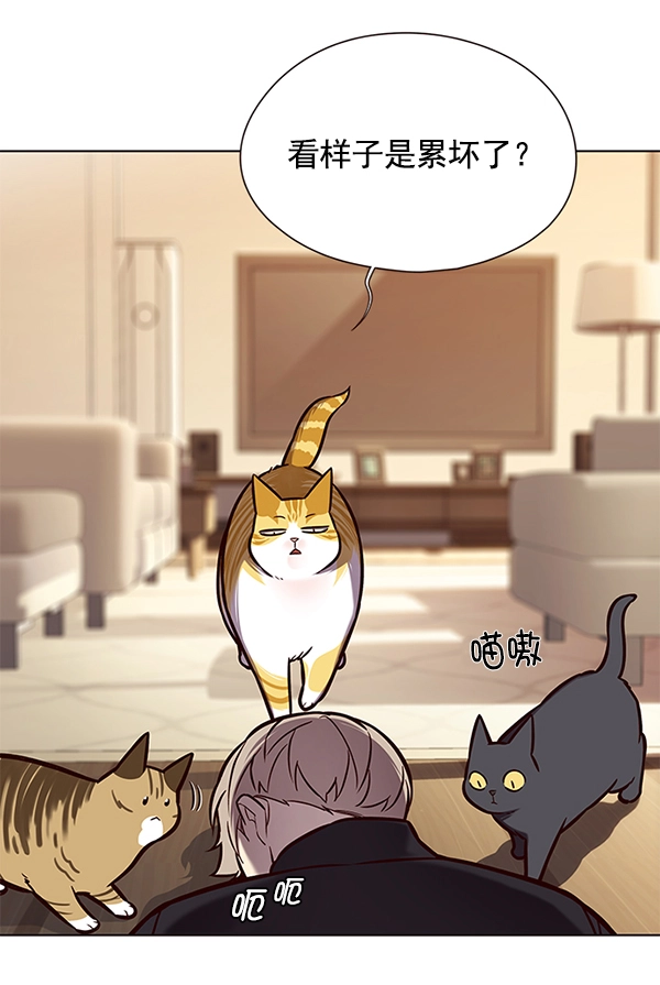 第118话 第81页