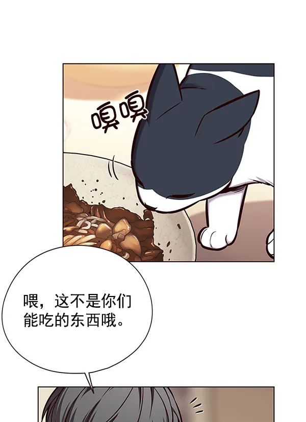 第123话 第37页