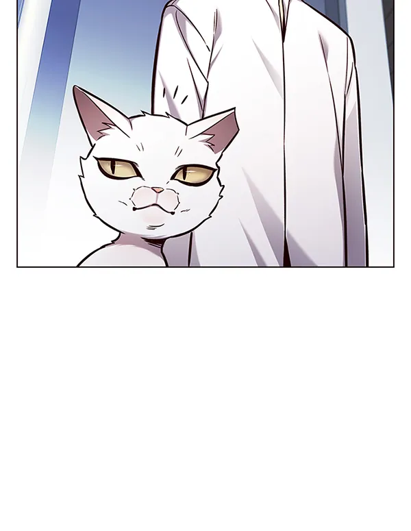 第144话 第23页