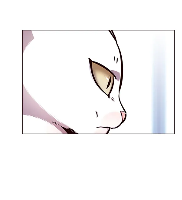 第144话 第36页