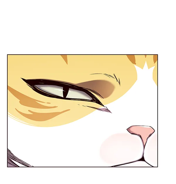 第146话 第57页