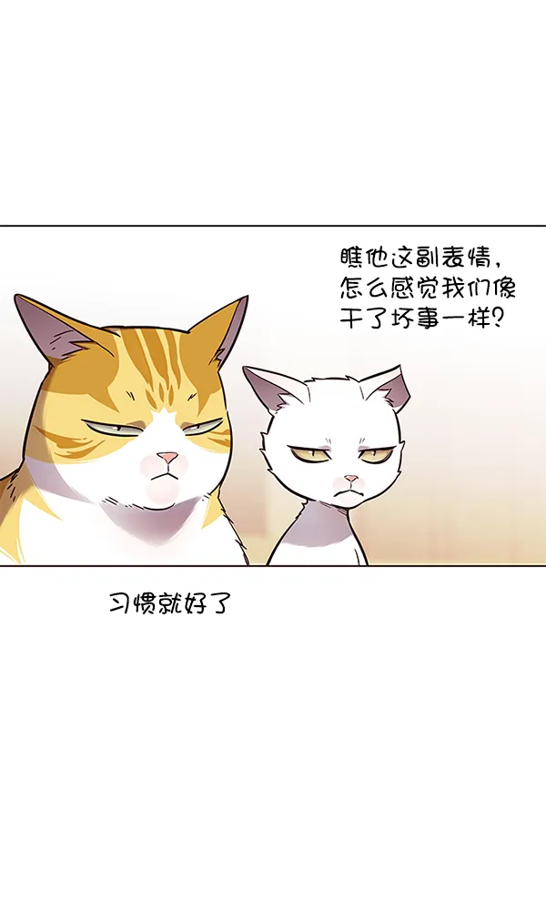 第146话 第81页