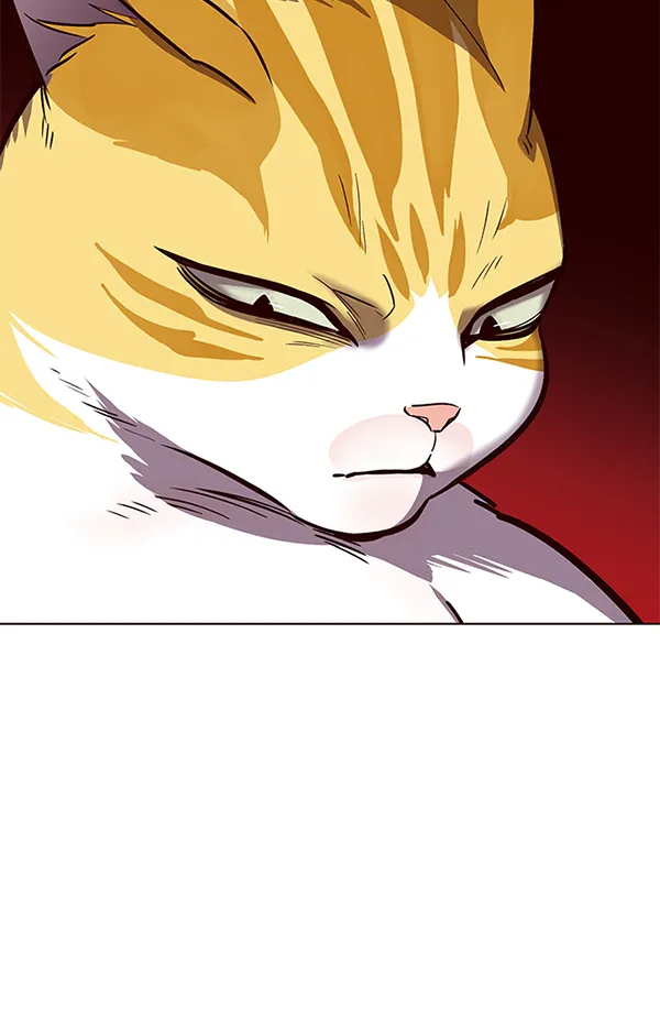 第154话 第54页