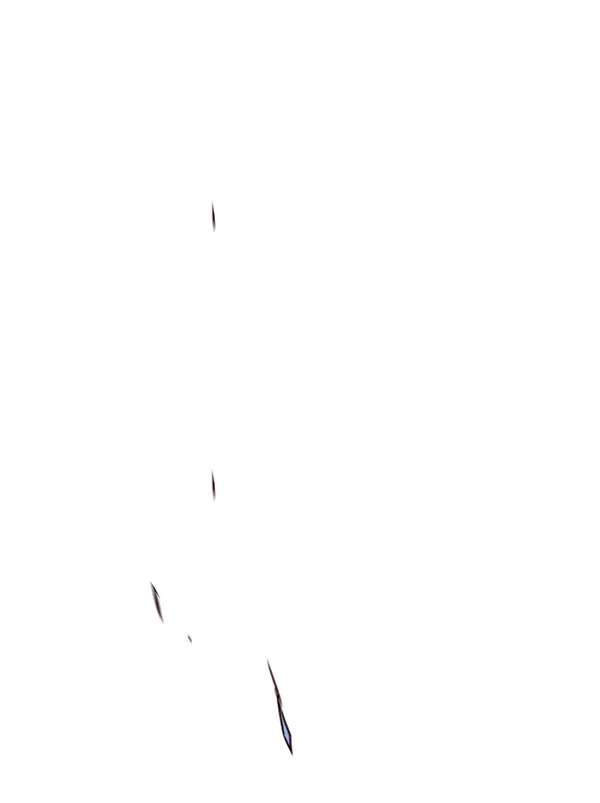 第158话 第56页
