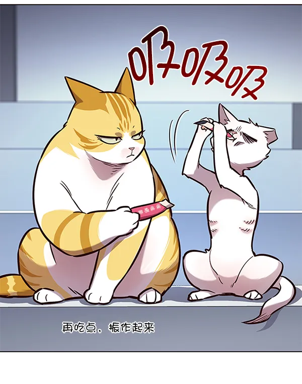 第159话 第6页
