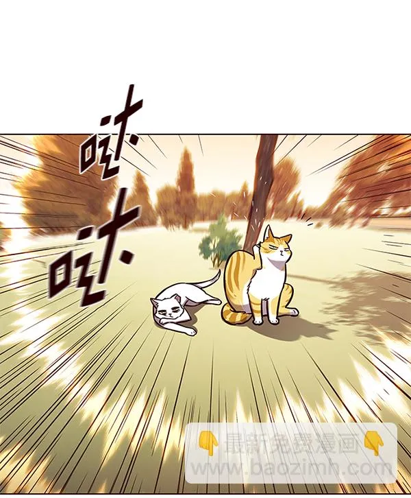 第161话 第71页