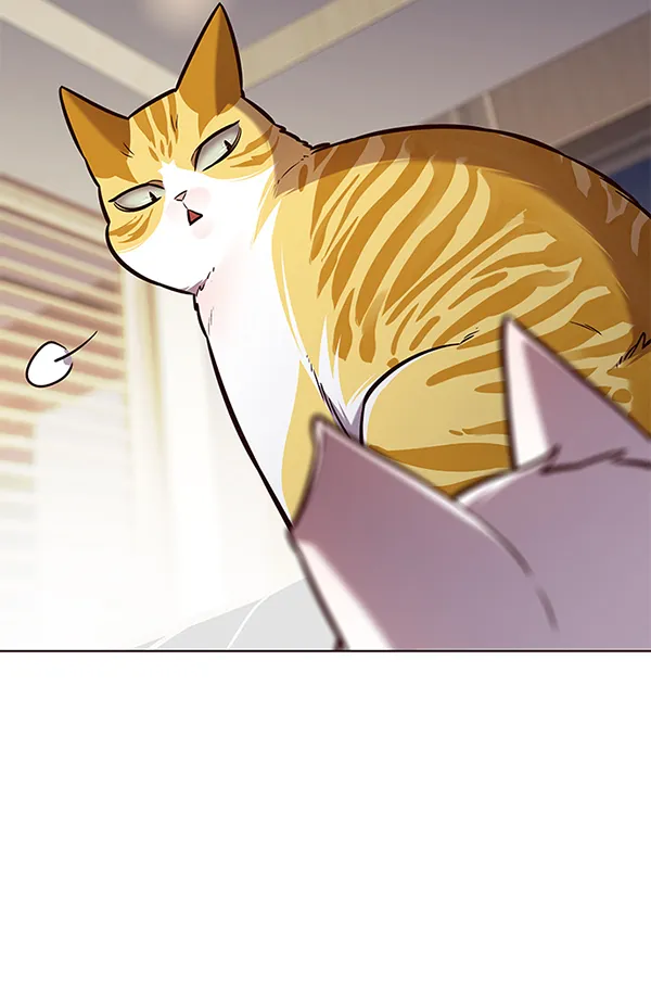 第164话 第41页