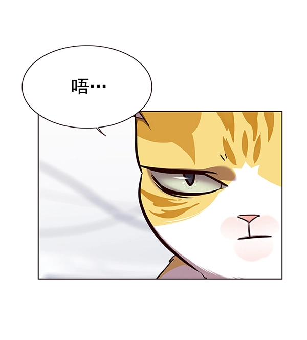 第165话 第43页