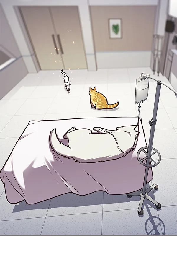 第166话 第13页