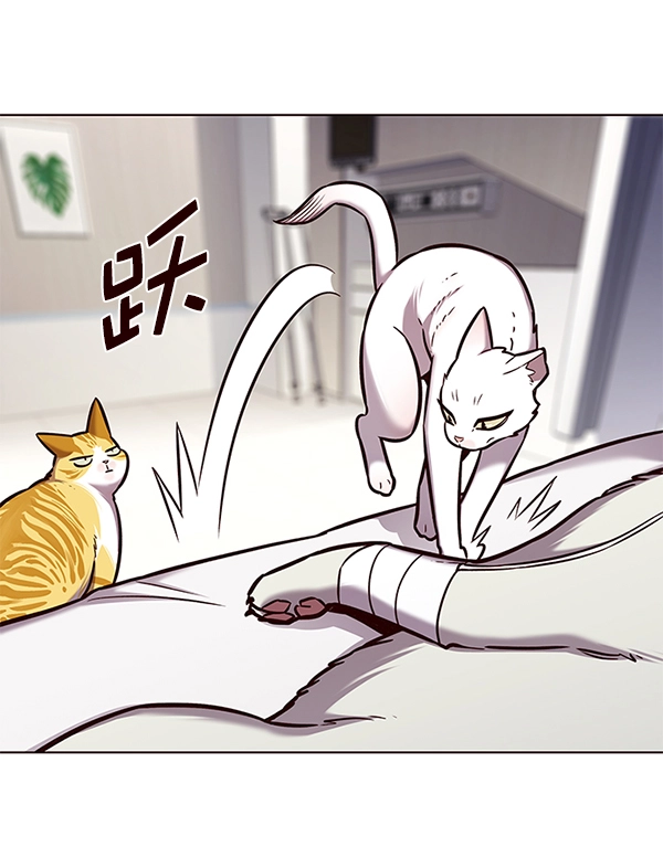 第166话 第15页