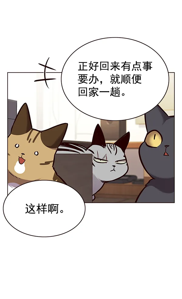 第177话 第12页