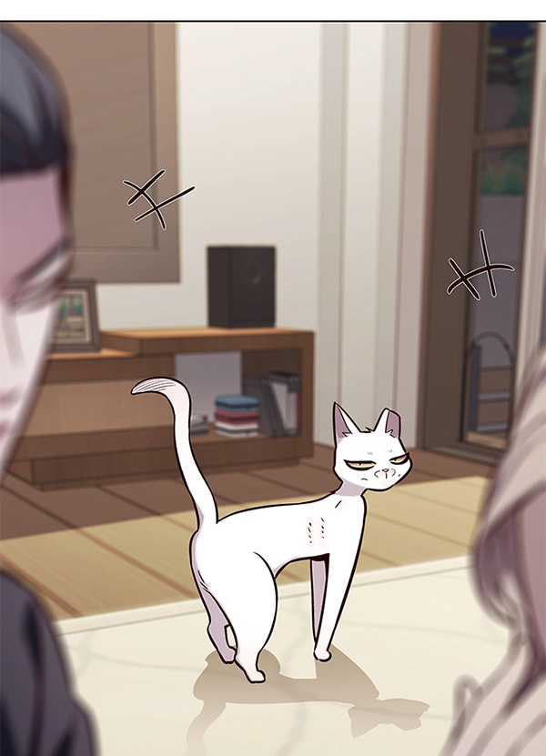 第178话 第55页