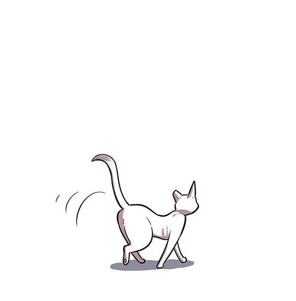 第178话 第57页
