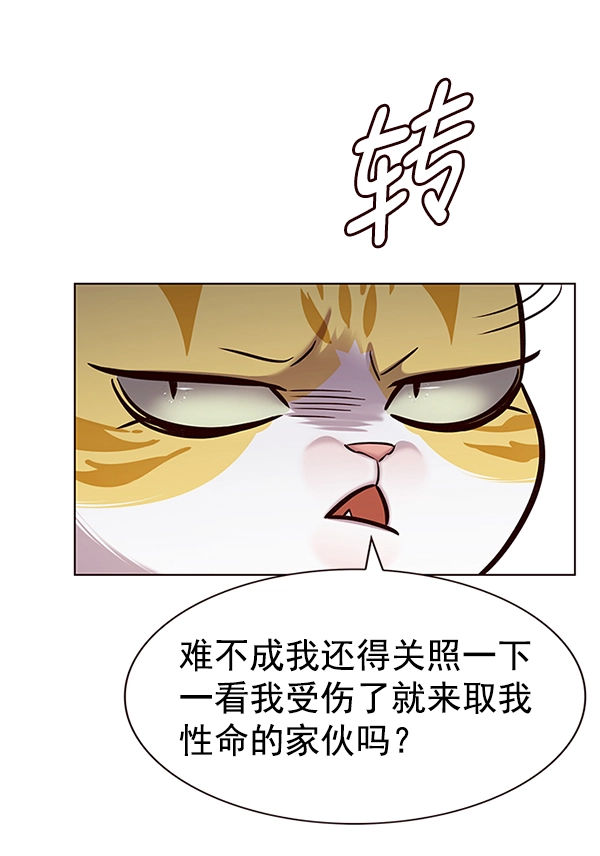 第186话 第33页