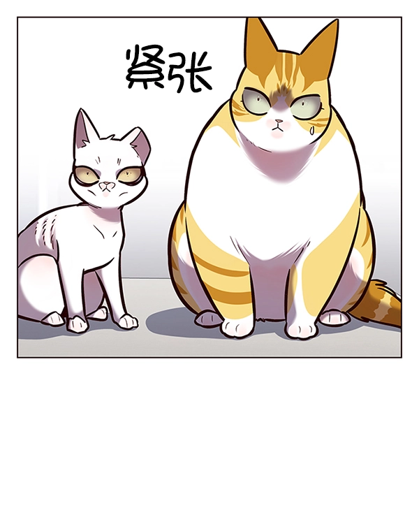 第188话 第32页