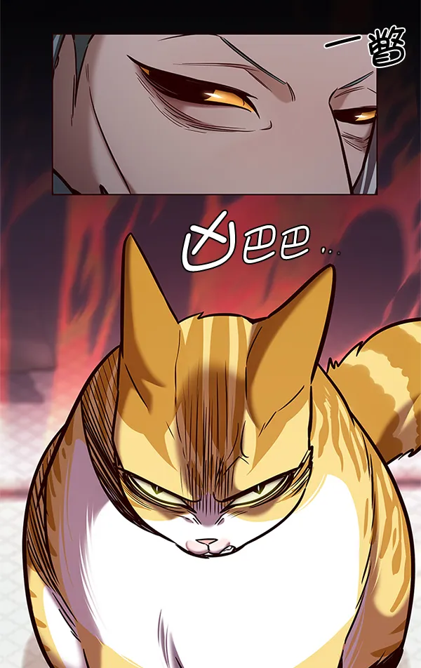 第196话 第72页