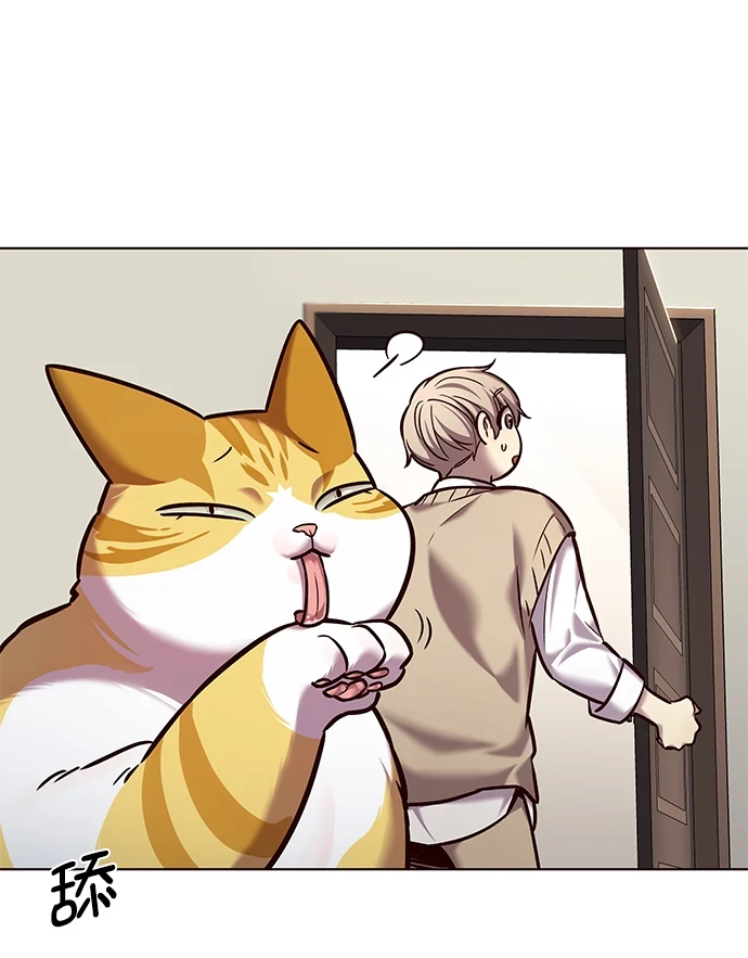 第228话 第24页