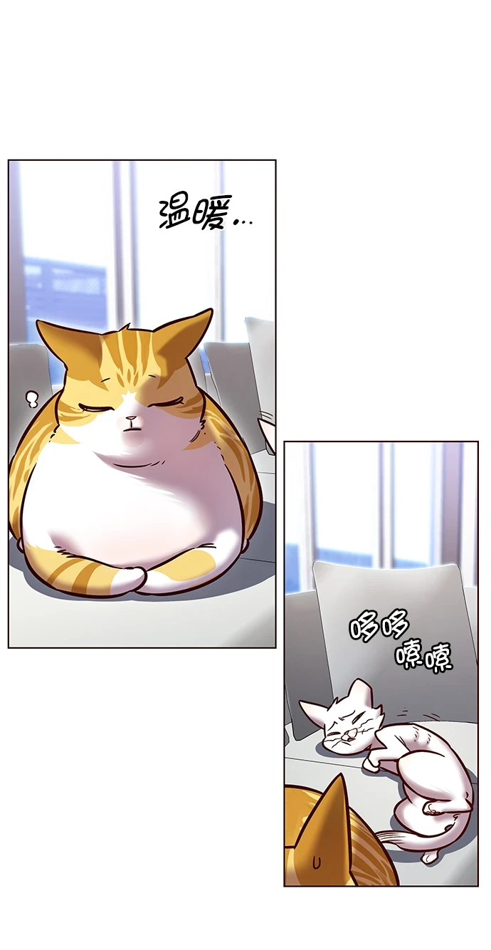 第229话 第21页