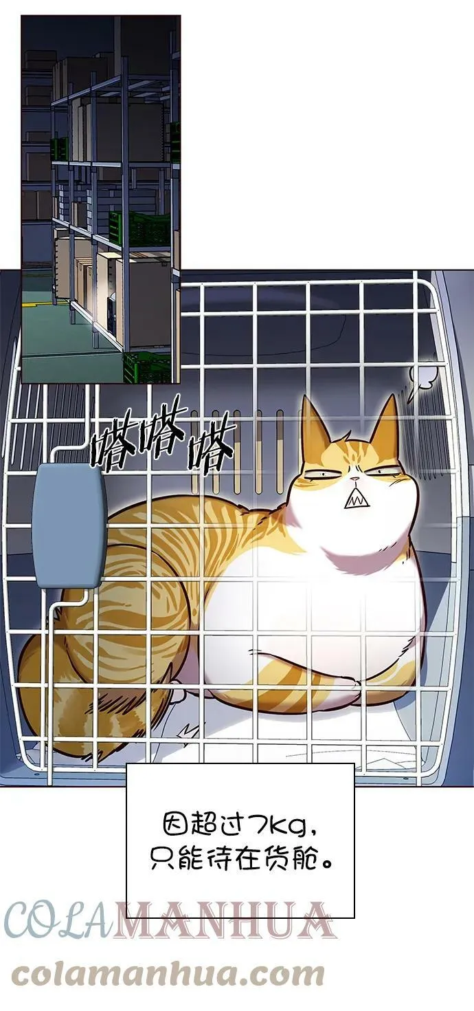 第231话 第25页