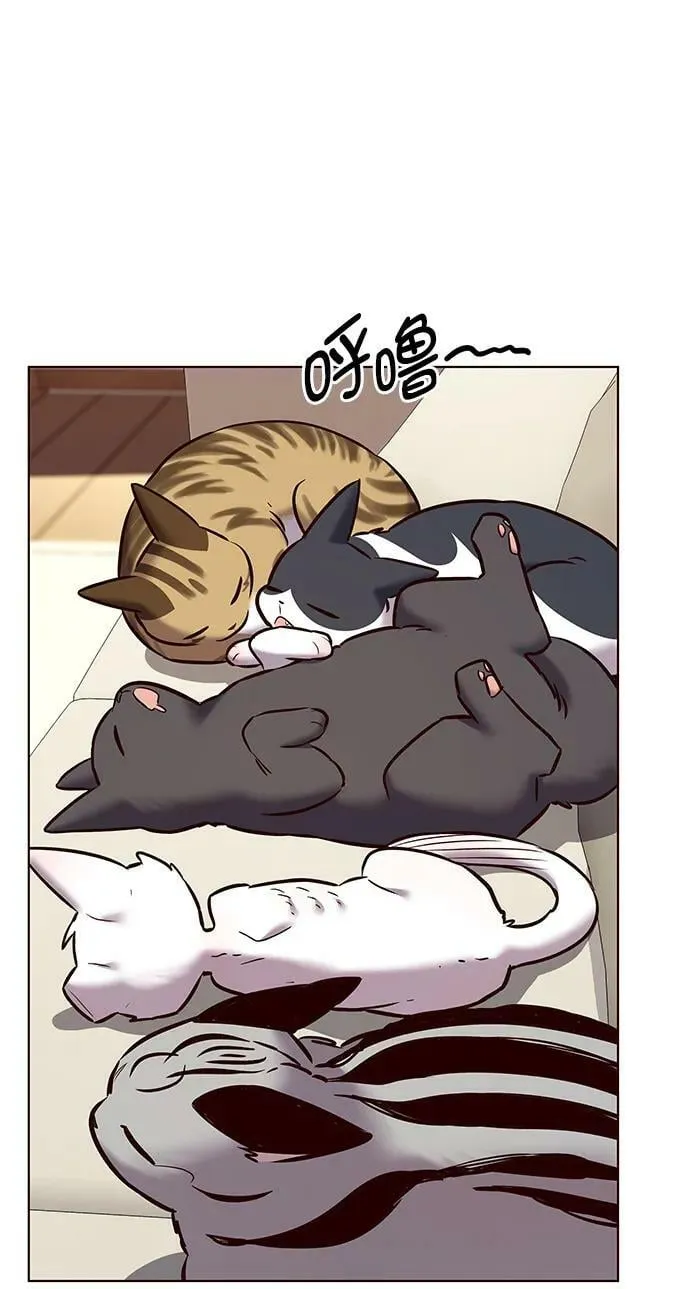 第243话 第68页