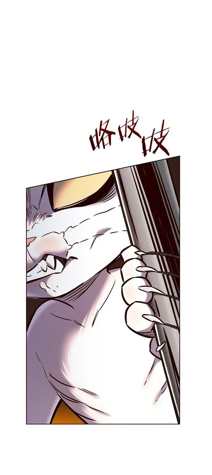 第249话 第42页