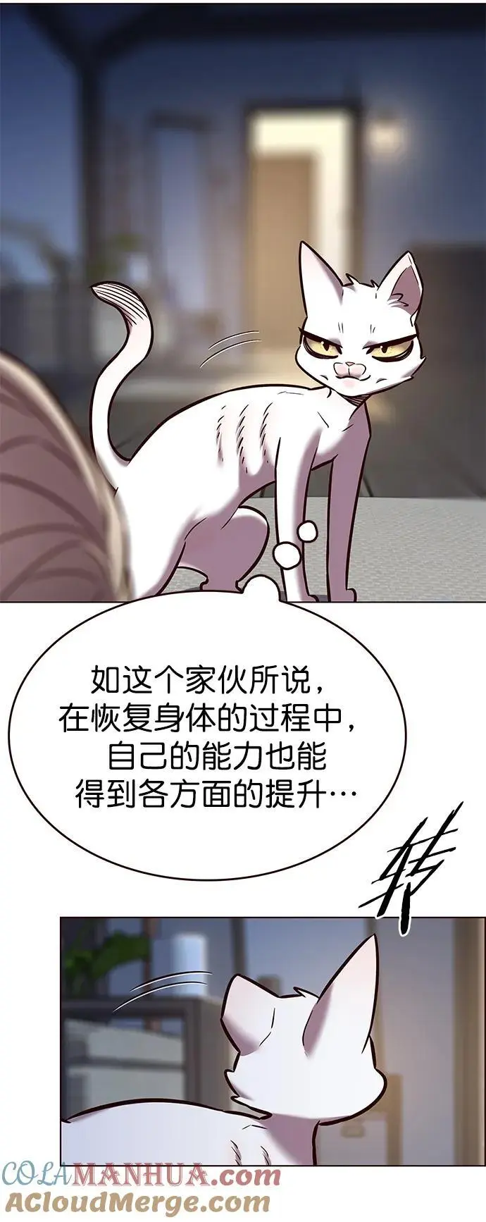 第262话 第67页