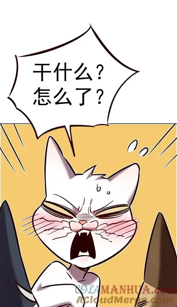 第262话 第70页