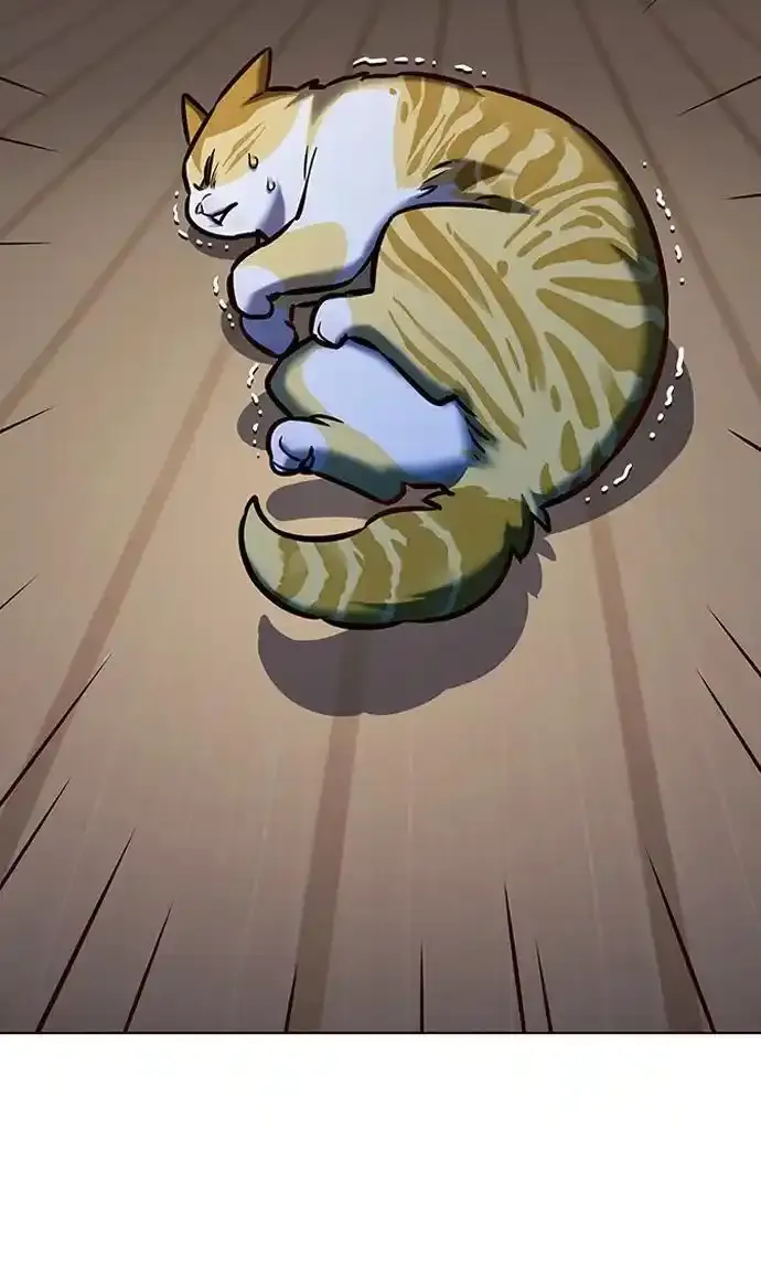 第275话 第74页
