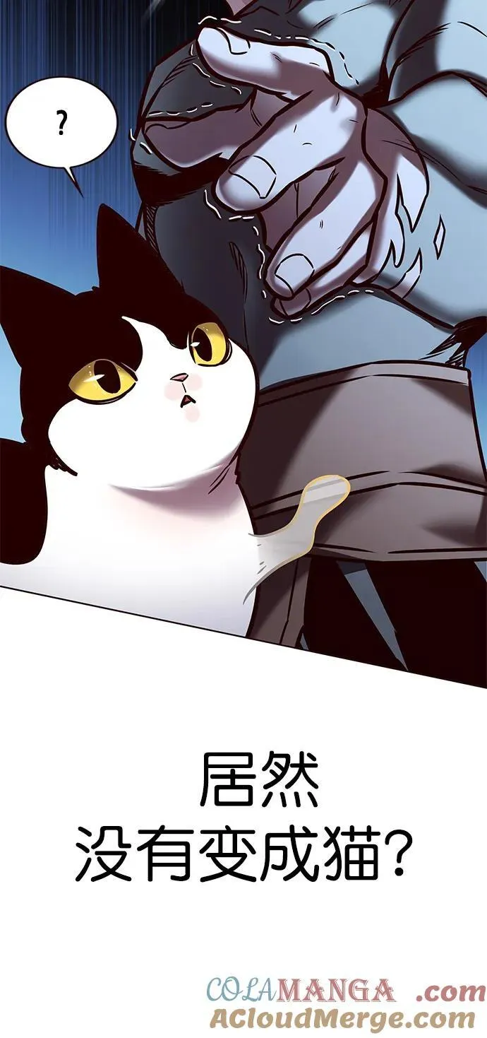 第279话 第41页