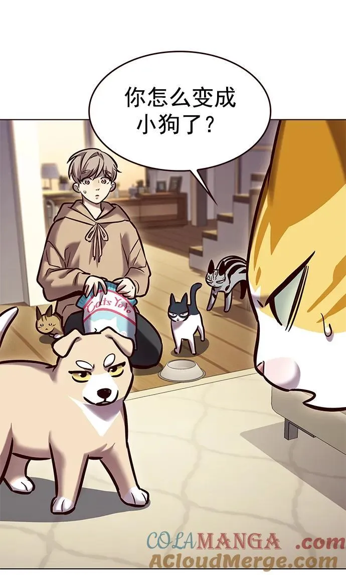 第279话 第73页