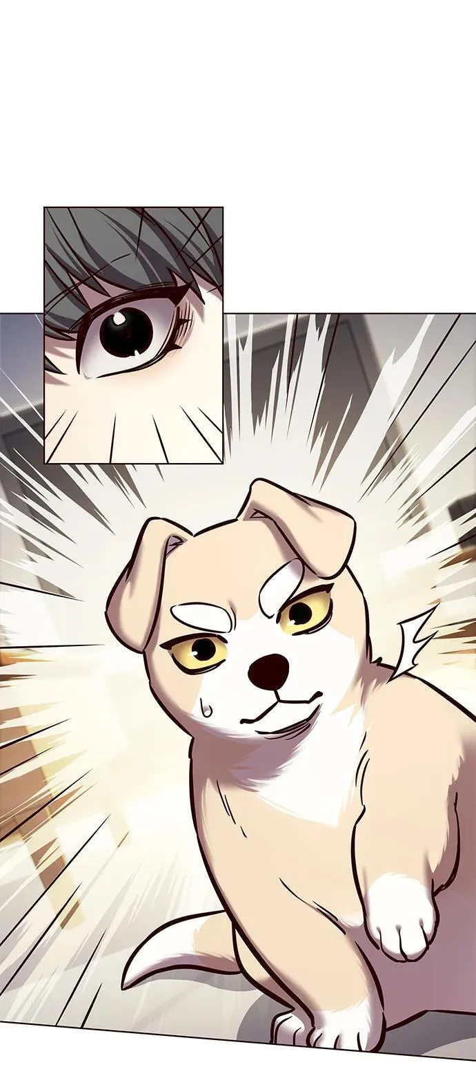 第280话 第20页