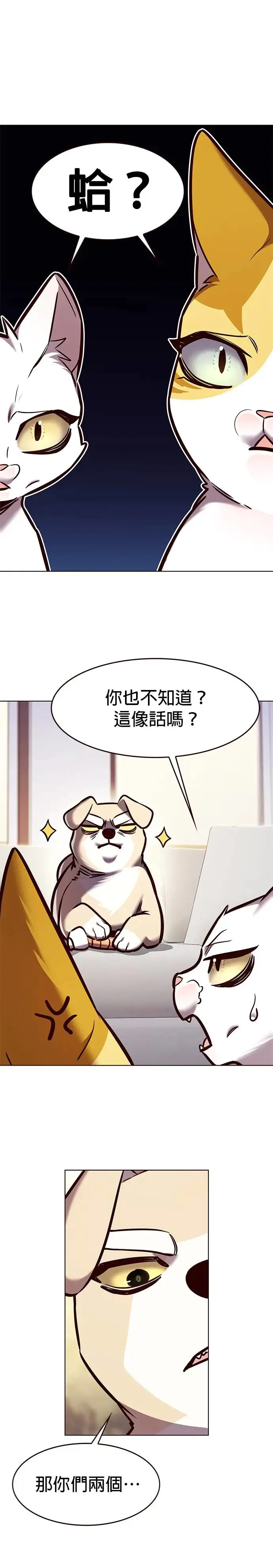 第285话 第13页