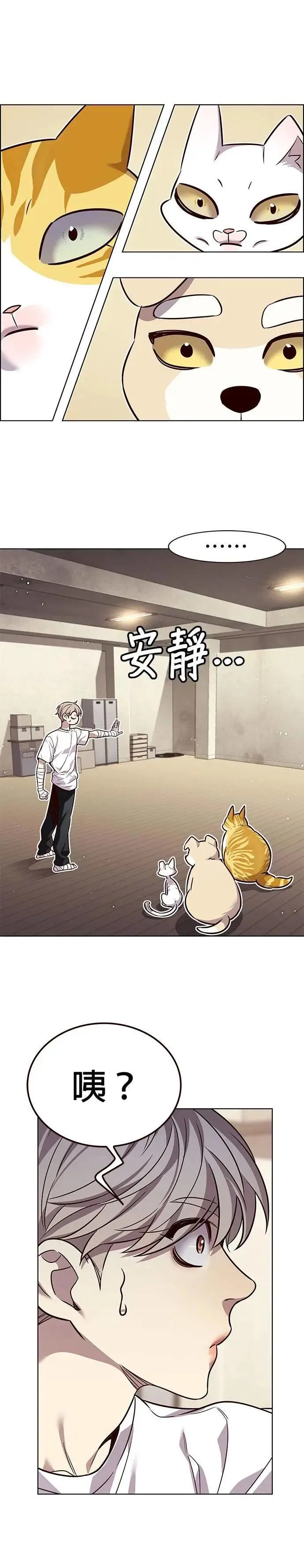 第330话 第25页