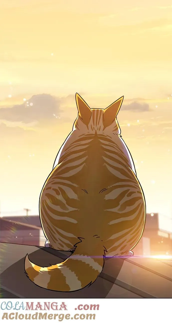 第336话 第89页