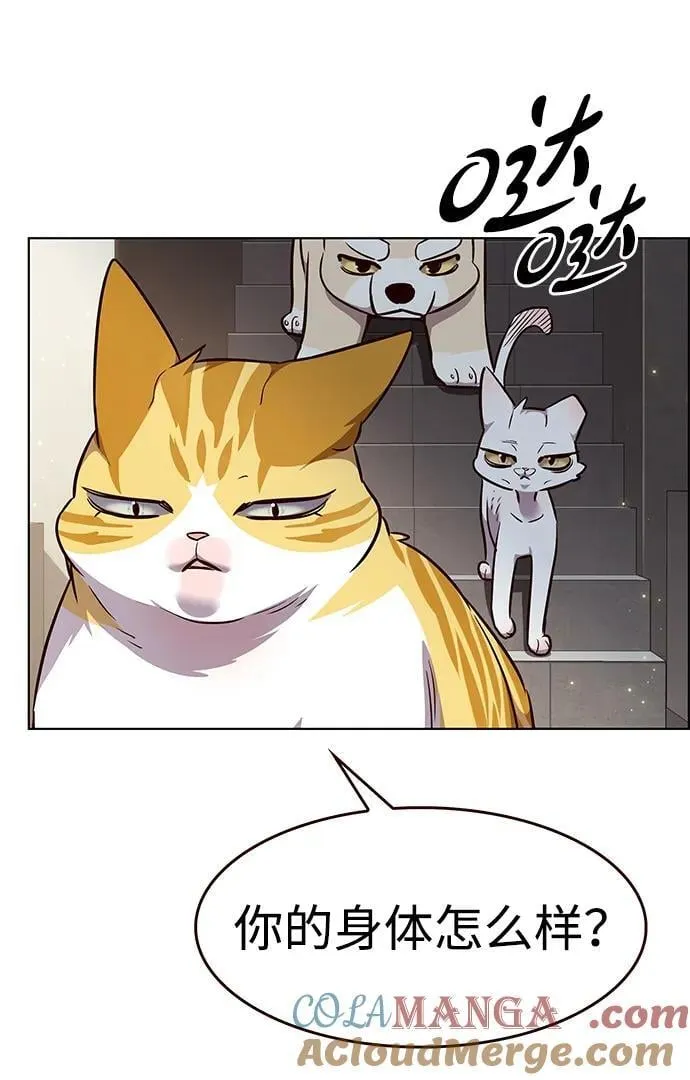 第337话 第28页
