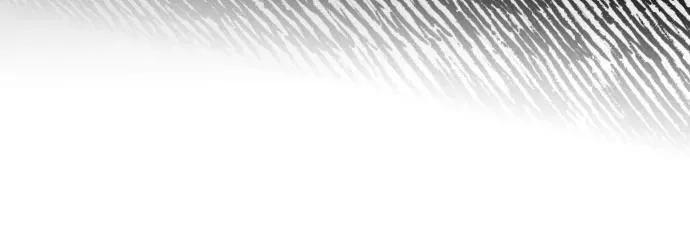 第101话 第51页