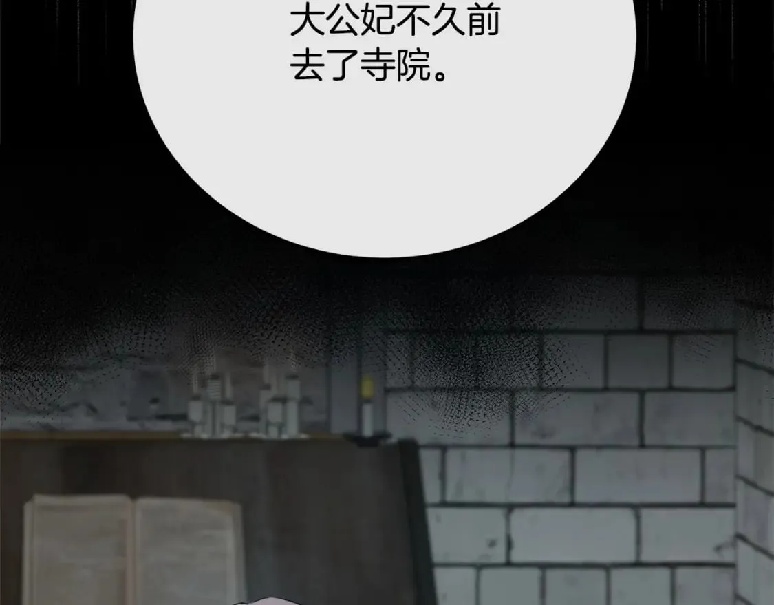 第118话 大公归来 第218页