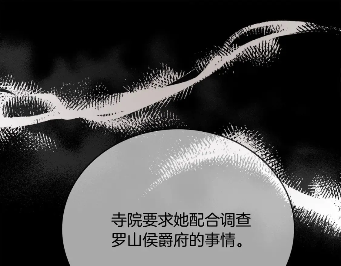 第118话 大公归来 第222页