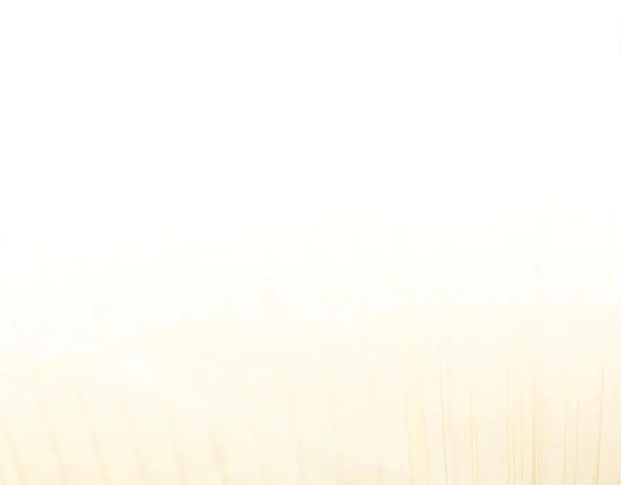 第208话 组织解散 第26页