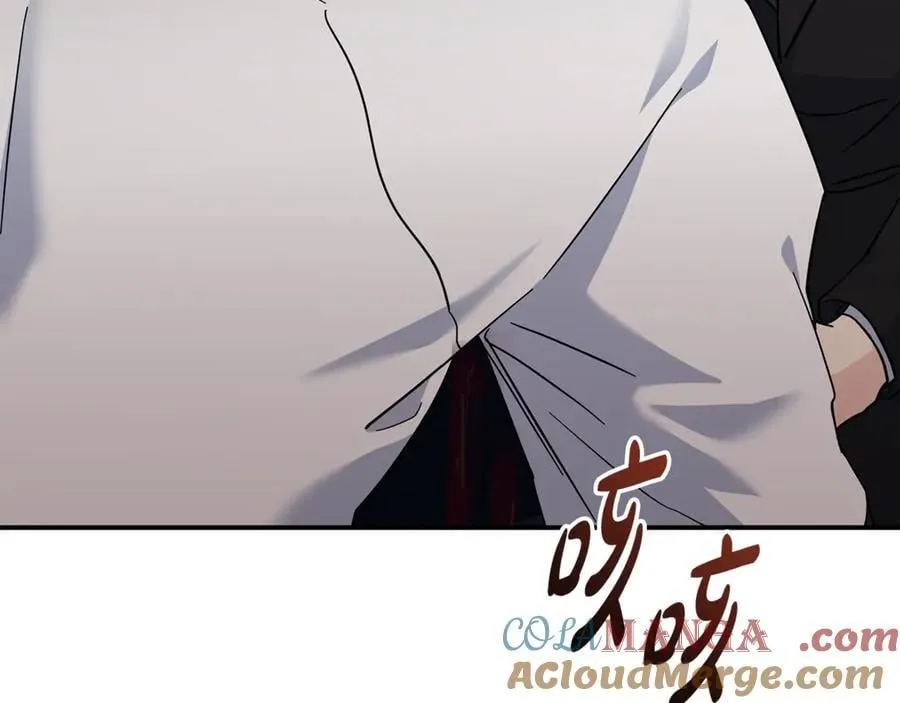 第208话 组织解散 第205页